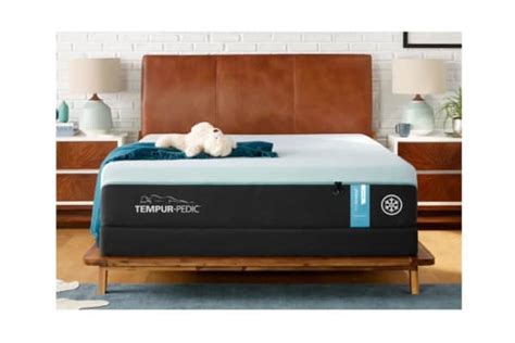 Best Split King Mattress of 2024