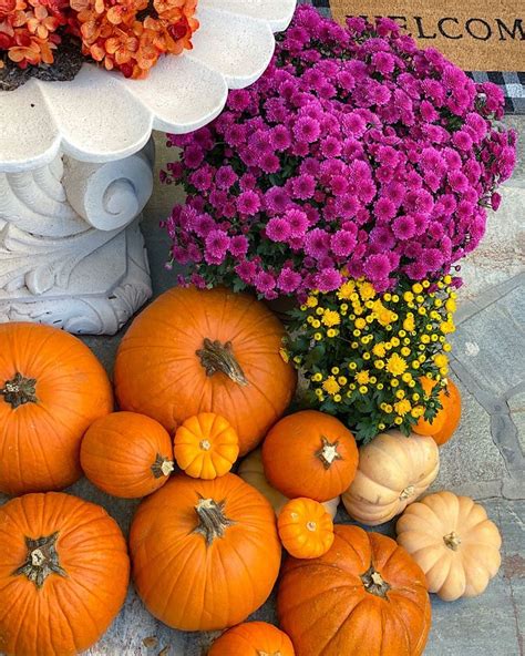 Fall Porch Decor with Mums and Pumpkins | Mums in pumpkins, Potted mums ...