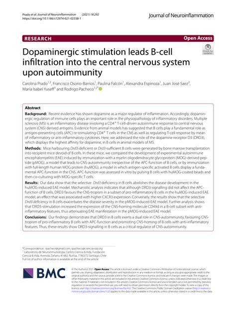 Pdf Dopaminergic Stimulation Leads B Cell Infiltration Into The