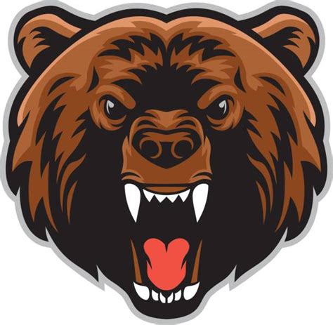 Grizzly Bear Face Illustrations, Royalty-Free Vector Graphics & Clip ...