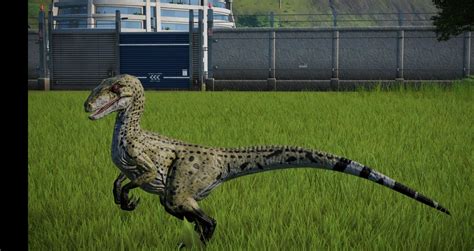 Wwd Raptor Skin Jurassicworldevo