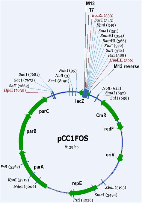 Medicago Truncatula Genomic Resource Cnrgv Plant Genomic Center