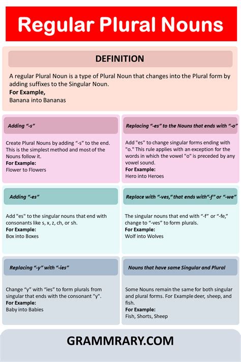 Regular Plural Nouns Definition Formation List And Exercise