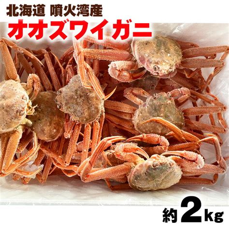 【楽天市場】訳あり【北海道産】オオズワイガニ 約8~14杯 計2kg前後 生冷凍：道産フーズ楽天市場店