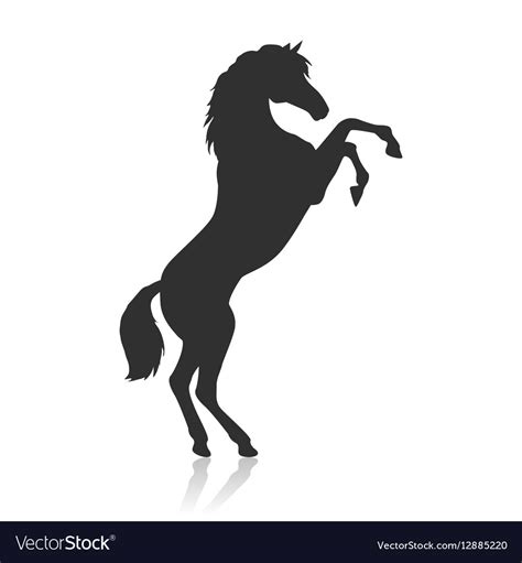 Rearing Pinto Horse In Flat Design Royalty Free Vector Image