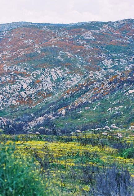 Western Sojourns: Travels with Camissonia: AGUANGA (Riverside County, CA)