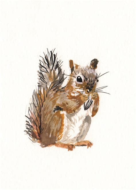 Squirrel watercolor squirrel art squirrel print by SammieClarkArt