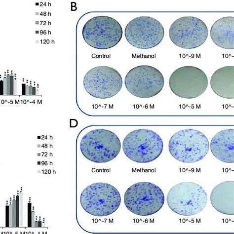 Atorvastatin Induces Apoptosis In Pancreatic Cancer Cells Panc 1 And Download Scientific