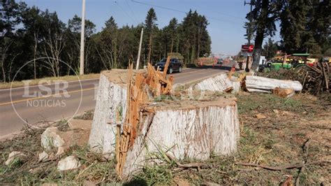 Carretera Real del Monte Huasca ecocidio de 13 kilómetros de bosque