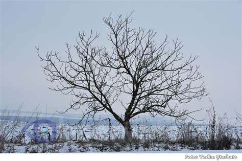 Meteo 3 decembrie 2023 nici astăzi nu vom avea precipitații iar