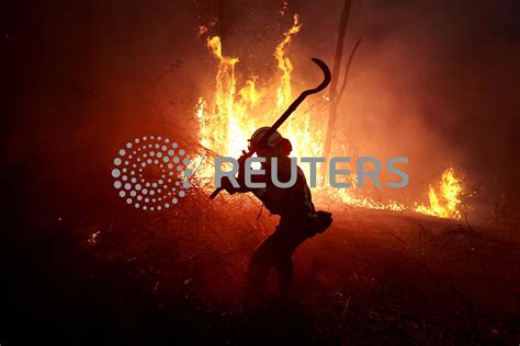 Spain braces for wildfires as beef farmers battle red tape - The Fiji Times