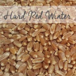 Hard Red Winter Wheat | Bulk Natural Foods