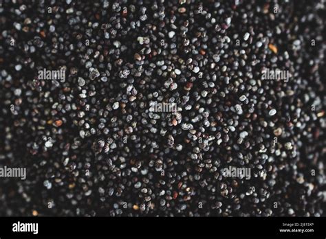 Poppy Seeds Close Up Shot Of Pantry Ingredients Concept Of Simple Toppings To Flavour Your