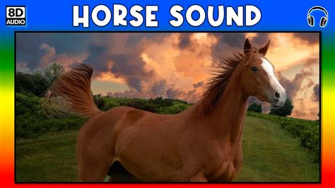 🐎 Horse Sound Horse Sound Effect Sound Of Horse Noise Of Horse