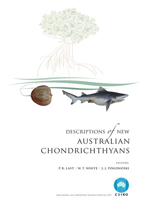 (PDF) Descriptions of New Australian Chondrichthyans