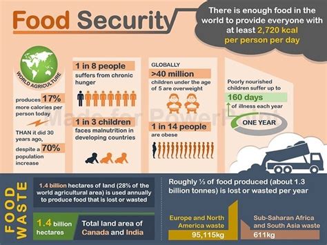 Global Food Security Powerpoint Infographic