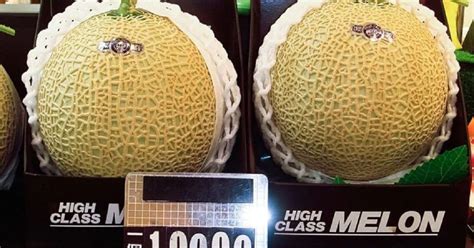 Tra I Cibi Pi Costosi Al Mondo Il Melone Yubari King Costa