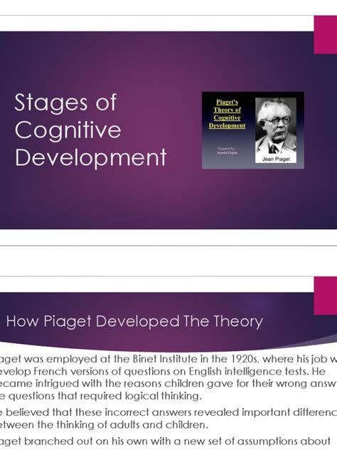 Cognitive Development | PDF