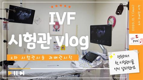 시험관시술vlog 4차 Ivf과배란 시작 Youtube