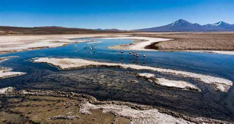 Codelco Salvador Informa A La Comunidad Sobre Los Avances En La