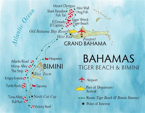 Tiger Beach & Bimini | Amazing Adventures Travel