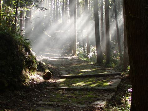 日本が誇る世界遺産 紀伊山地の霊場と参詣道