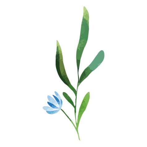 Dise O Png Y Svg De Acuarela Rama Flor Azul Para Camisetas