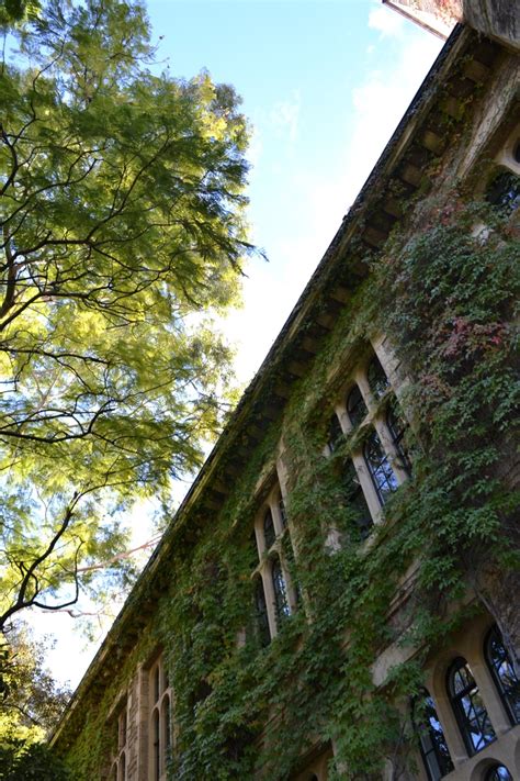 An Old Building With Ivy Growing All Over It