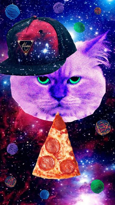 Cat Pizza Wallpapers - Top Free Cat Pizza Backgrounds - WallpaperAccess