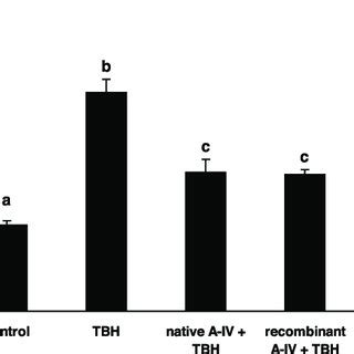 Bar Graphs Comparing The Effect Of RhApo A IV On TBH Induced Apoptosis