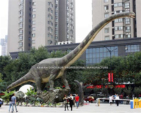 Dinosaur Park Long Neck Dinosaur Mamenchisaurus Realistic Dinosaur Statue AD-044 Manufacturer ...