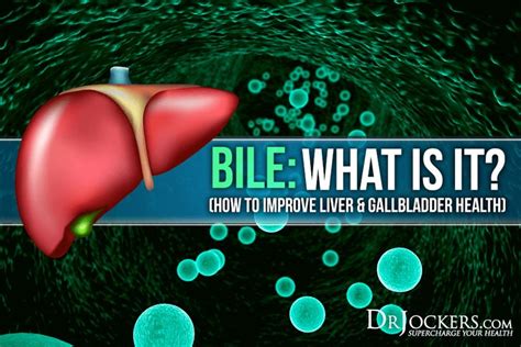 Bile What Is It How To Improve Liver And Gallbladder Health