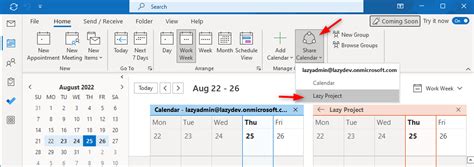 Outlook Shared Calendar Not Showing