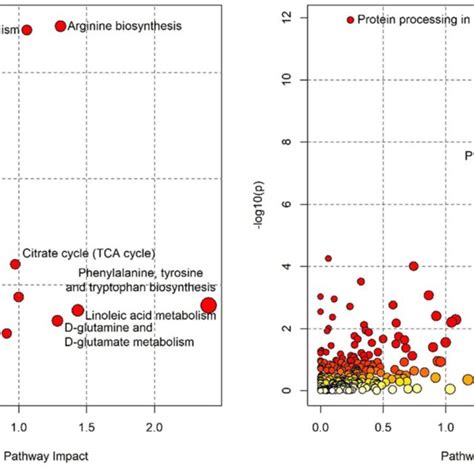 Bubble Plots Showing Enriched Metabolic A And All B Pathways From A