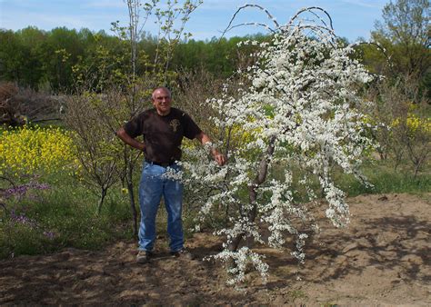 Contact Brotzmans Nursery