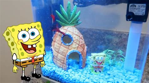 Setup the Best Spongebob Fish Tank Decorations {Guide 2019}