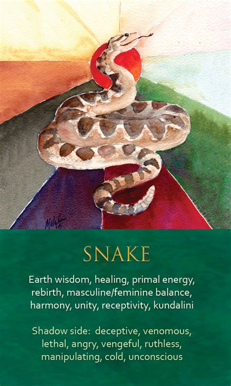 Spirit Animal Awareness Oracle Cards - Snake | Animal meanings, Animal ...