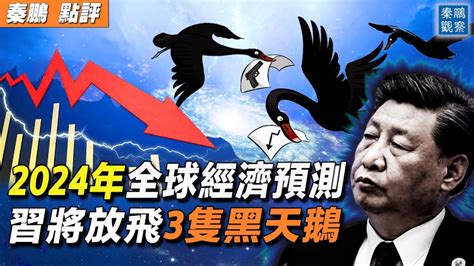 【秦鵬觀察】2024經濟預測 5大灰犀牛3隻黑天鵝 中國經濟 通貨膨脹 新唐人电视台