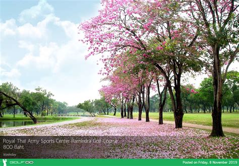 Royal Thai Army Sports Center Ramindra Golf Course ออกรอบชวๆกลางเมอง