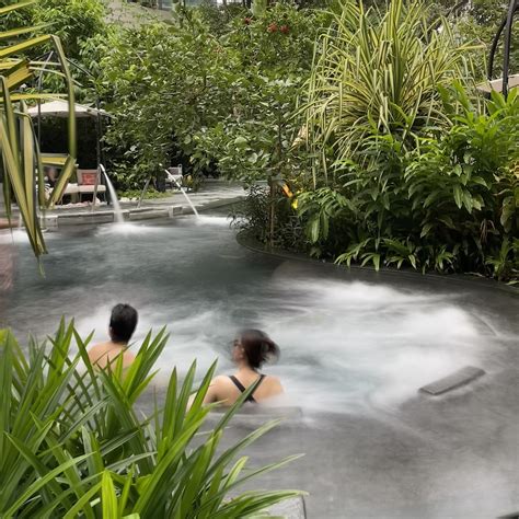 New Wellness Gardens unveiled at Grand Hyatt Hotel… | Grant Associates