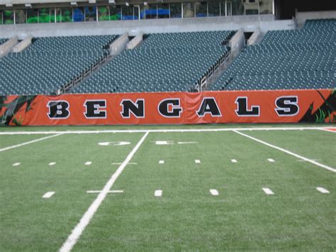 iaTURF: CINCINNATI BENGALS STADIUM