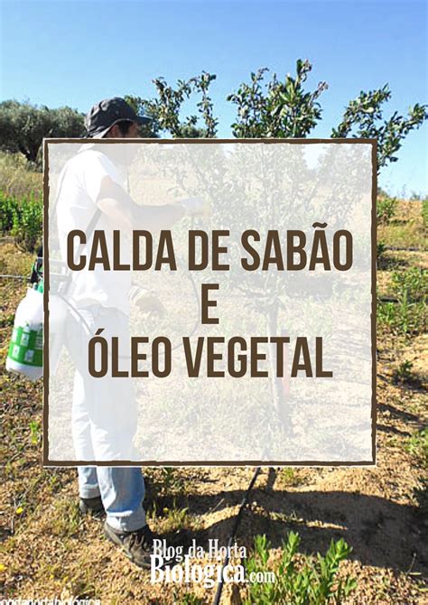 Benefícios da Calda de Sabão e Óleo Vegetal