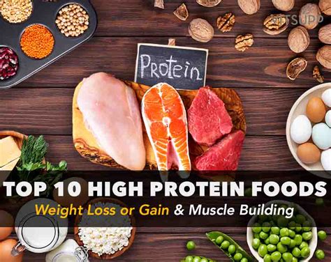 High Protein Foods List For Weight Loss Gain Muscle Building