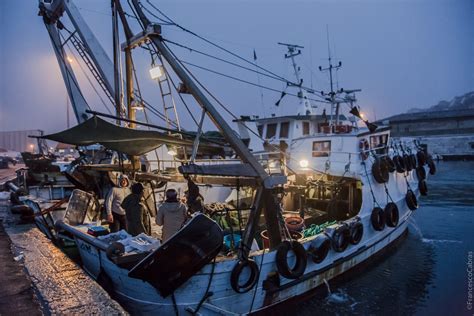 La Pesca A Strascico Nel Mediterraneo Medreact