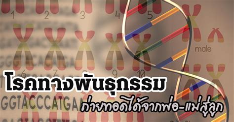 โรคทางพันธุกรรม โรคติดต่อทางพันธุกรรม