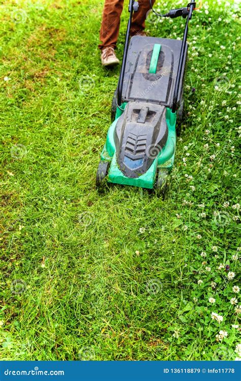 Homem Que Corta A Grama Verde O Cortador De Grama No Quintal Imagem