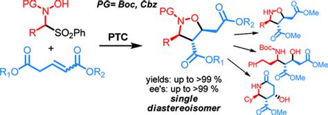 有机催化不对称形式 3 2 环加成与原位生成的 N 氨基甲酰基硝酮 Journal of the American Chemical