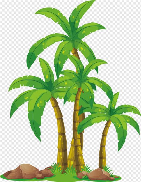 Arecaceae Euclidean Coconut Grove Leaf Eps Palm Tree Png PNGWing