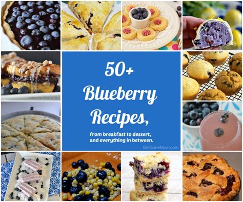 50+ Blueberry Recipes