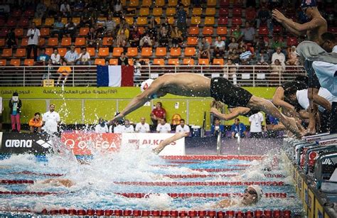 Stage Set For Fina Swimming World Cup Qatar Spc